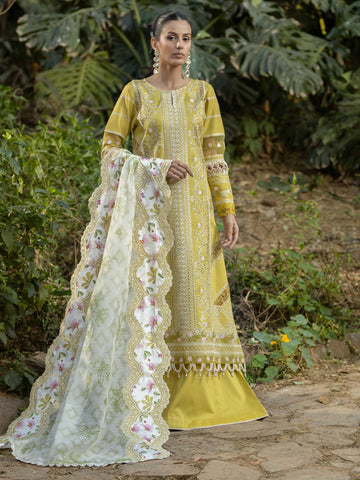 RAAG - Rabazka RAAG - Rabazka