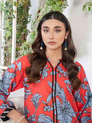 WRTW-P-40 - Rabazka WRTW-P-40 - Rabazka