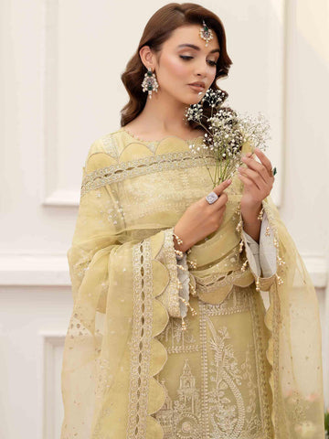 ZATOON - Rabazka ZATOON - Rabazka