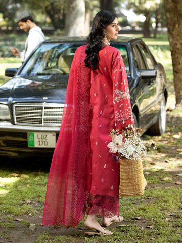 TAAL - Rabazka TAAL - Rabazka