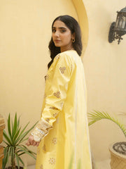 3 PIECE - EMBROIDERED SUIT