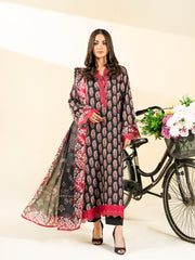 2 PIECE - PRINTED BLENDED LAWN SUIT