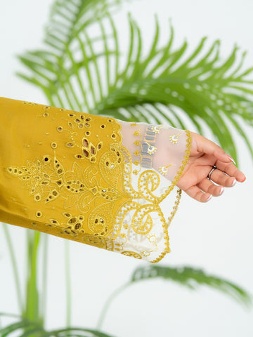 2 PIECE- EMBROIDERED SUIT