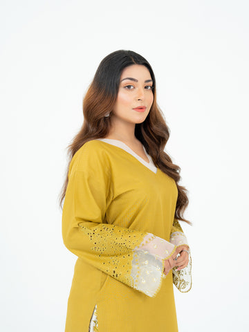 2 PIECE- EMBROIDERED SUIT