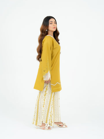 2 PIECE- EMBROIDERED SUIT